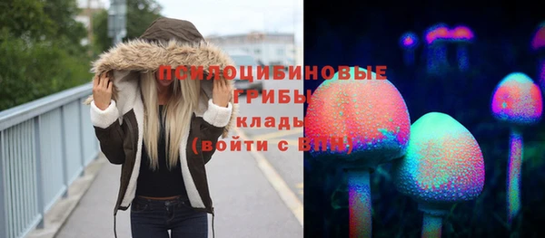 экстази Алексин