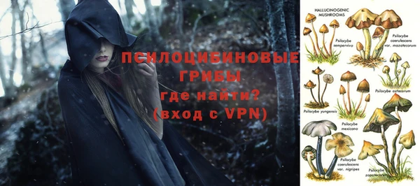 гидропоника Алексеевка