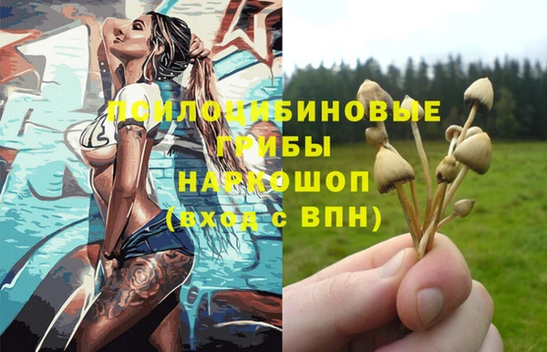 spice Инсар