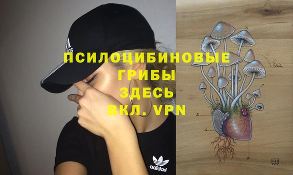 экстази Алексин