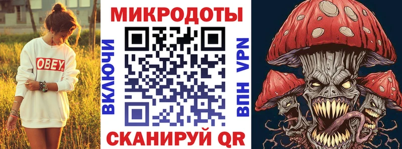 где купить наркоту  Тайшет  это какой сайт  Псилоцибиновые грибы мицелий 