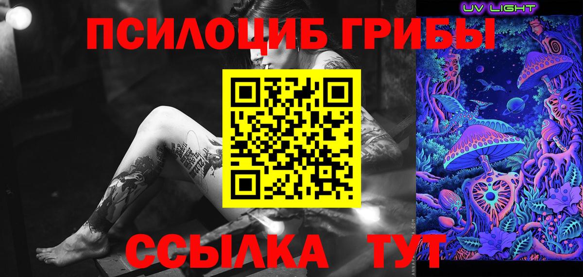 Псилоцибиновые грибы прущие грибы  Вход с VPN  Тайшет 